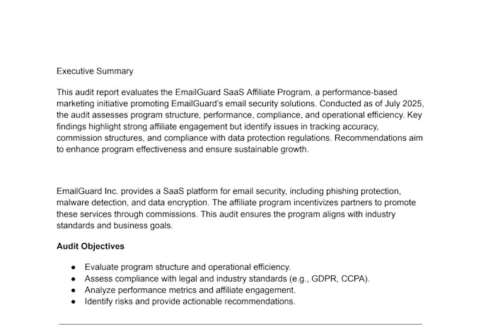 audit your affiliate program and give you optimization tips